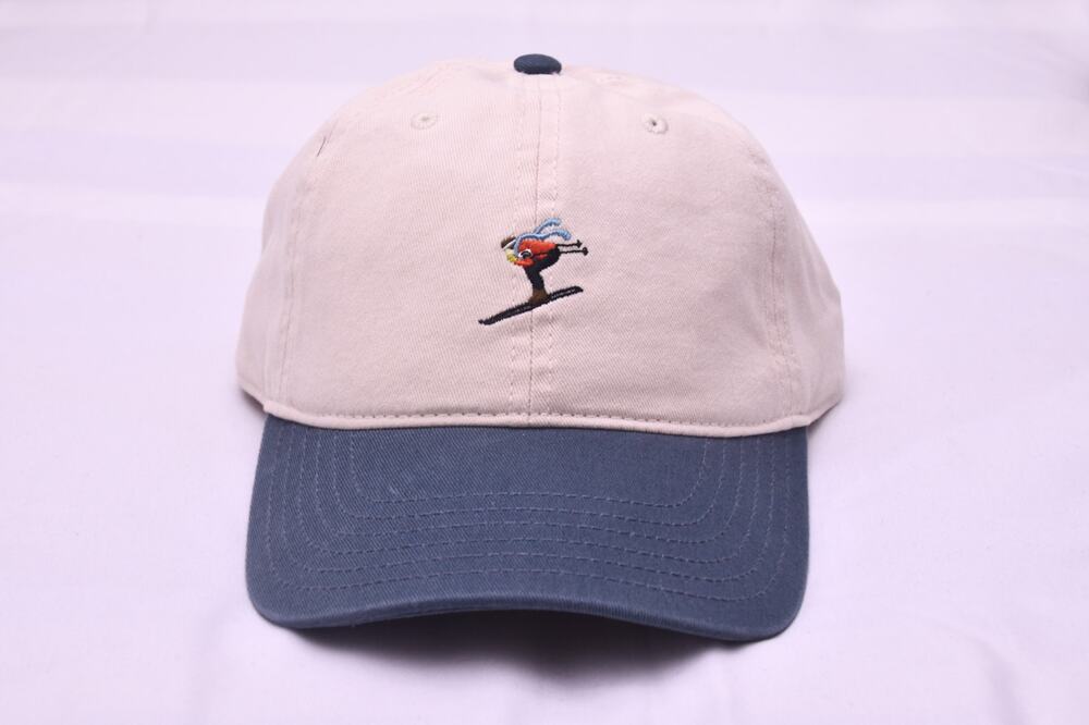 Mighty Fine Embroidered Ski Bird Dad Hat Strapback OSFM NWT